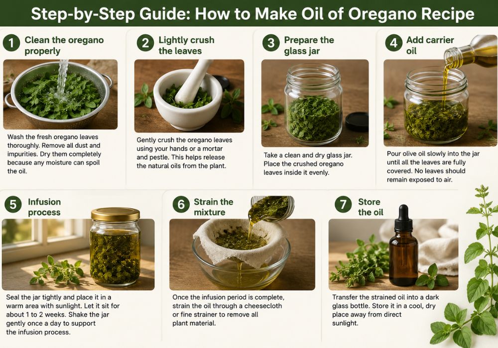 Preparing homemade oil of oregano recipe step by step